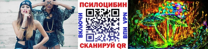 Купить закладки  Калининск  Галлюциногенные грибы Cubensis 